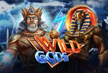 Wild Gods Leap Gaming Slot Review